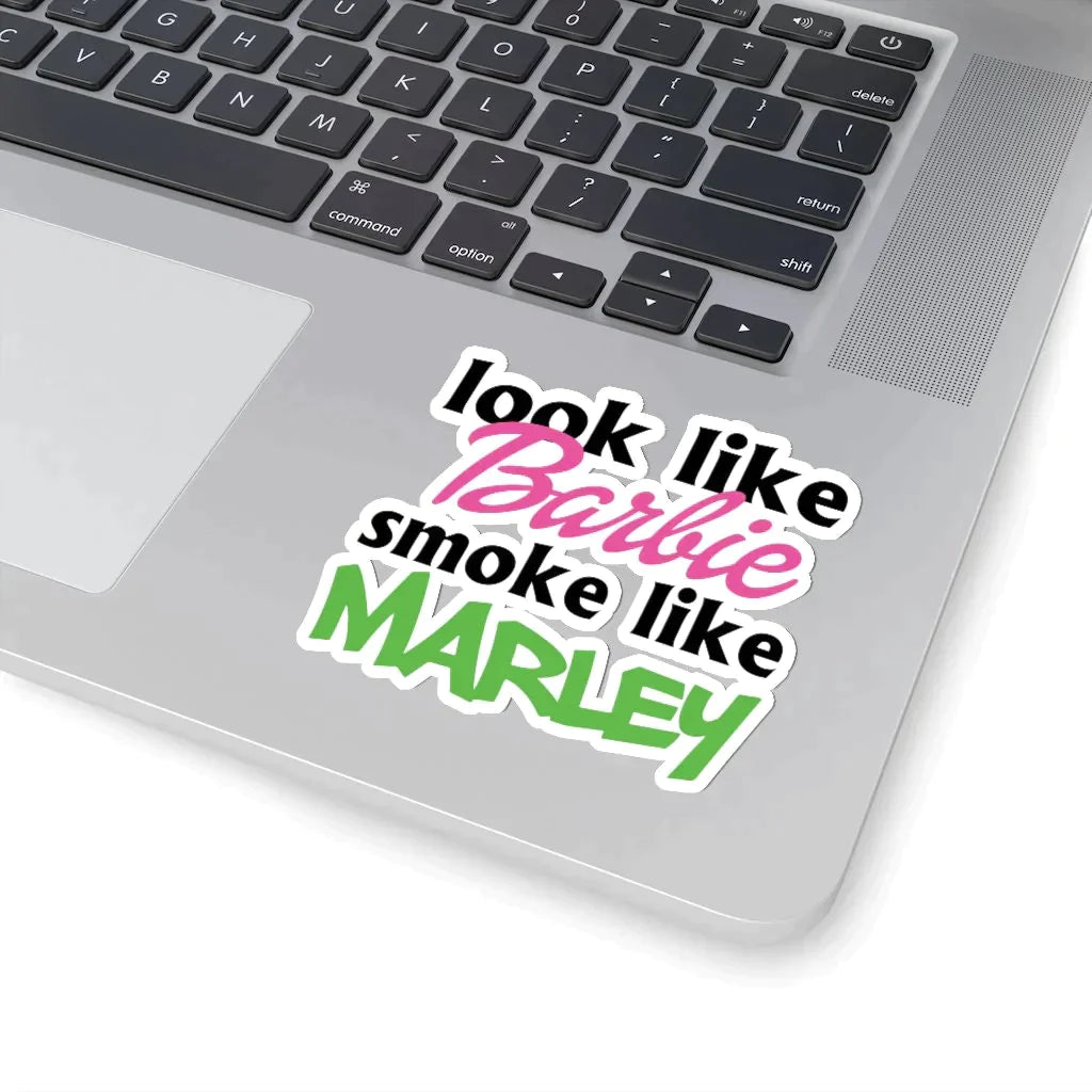 Barbie, Stoner Sticker, Stoner Kit, Stoner Gift Box, Weed Gifts, Stoner Accessories, Stoner Gifts, Stoner Decor, Stash Jar, Weed Stickers