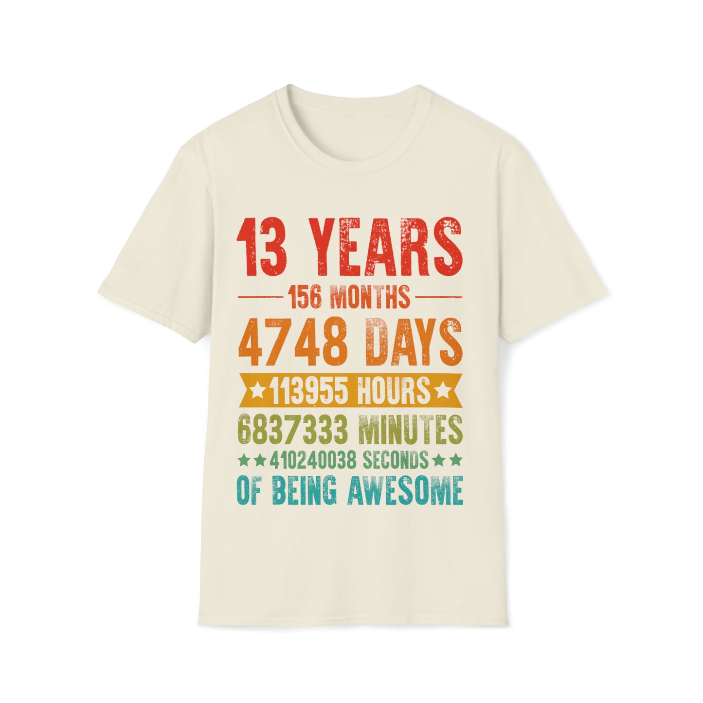 13th Birthday Shirt